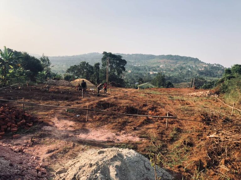 WhatsApp Image 2025-11-13 at 10.03.48 AM (1)