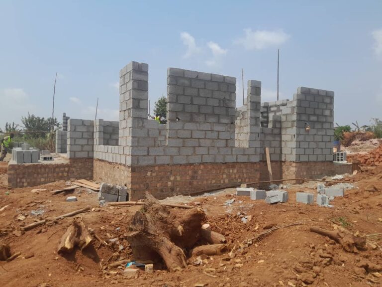 WhatsApp Image 2025-11-13 at 10.03.50 AM (2)