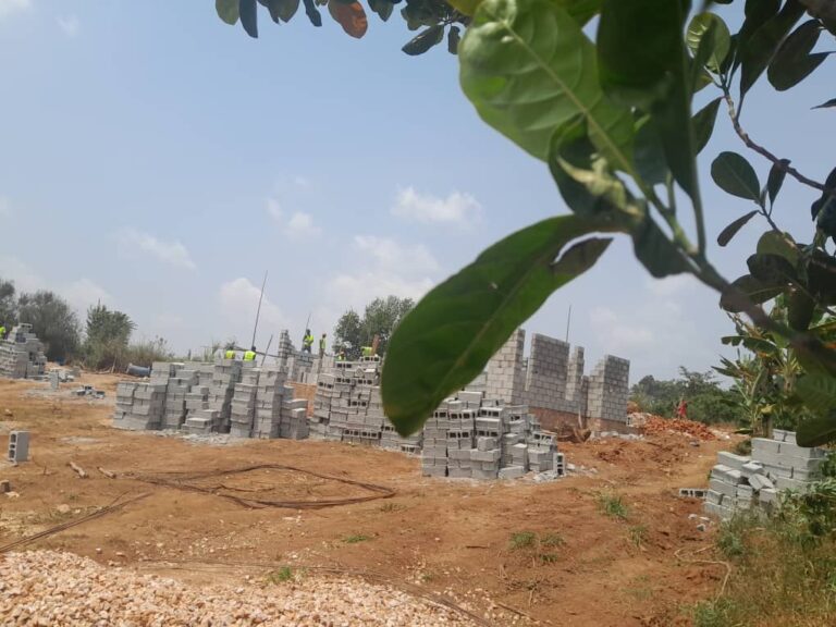 WhatsApp Image 2025-11-13 at 10.03.51 AM