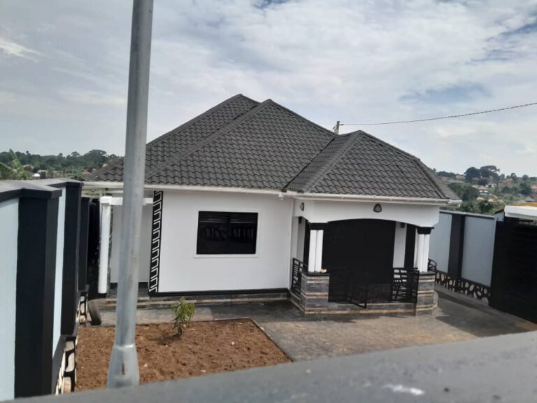 WhatsApp Image 2025-11-13 at 8.57.19 AM (1)