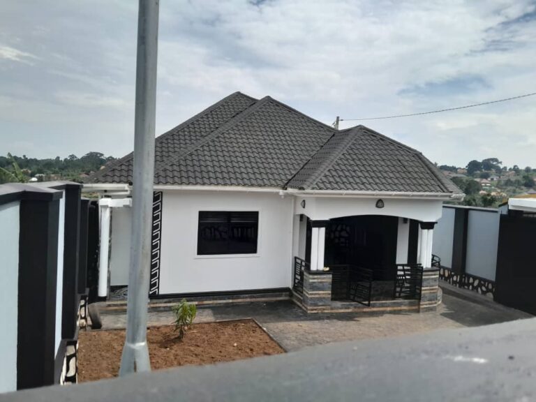 WhatsApp Image 2025-11-13 at 8.57.19 AM (3)