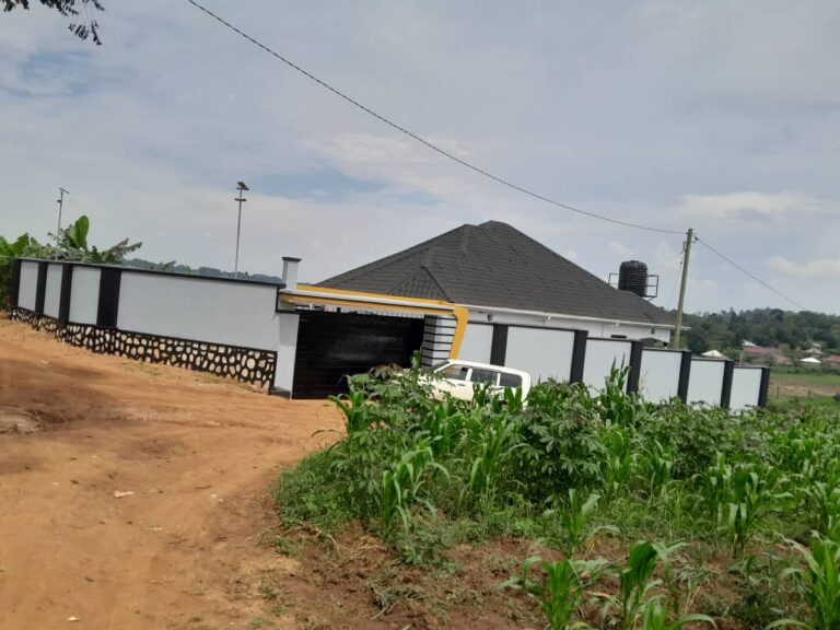 WhatsApp Image 2025-11-13 at 8.57.20 AM