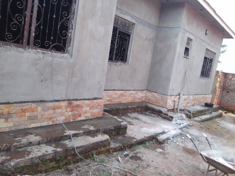 WhatsApp Image 2025-11-13 at 9.16.19 AM