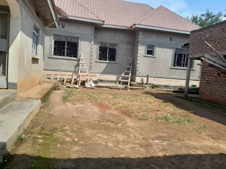 WhatsApp Image 2025-11-13 at 9.16.23 AM (1)