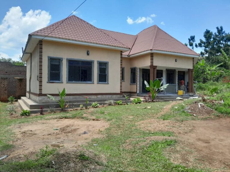 WhatsApp Image 2025-11-13 at 9.16.27 AM